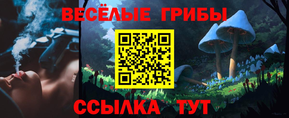Псилоцибиновые грибы мицелий  Вход с VPN  Елец 